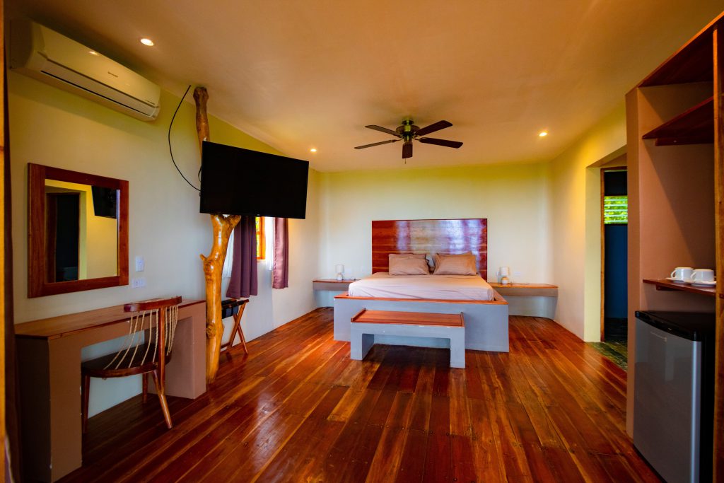 Room (1)